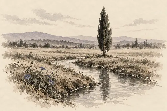 The stream in the vision, from The Blind Owl: ink-and-wash drawing